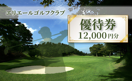 【ふるさと納税】【レターパック】エリエールゴルフクラブ優待券12,000円分