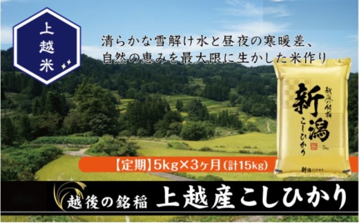 令和7年産 新潟県上越産こしひかり 精米 5kg 3か月定期便 上越市 米 コメ コシヒカリ