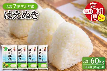 【令和7年産米】※2025年11月上旬開始※ はえぬき60kg（20kg×3ヶ月）定期便 山形県産 【JAさがえ西村山】ka008-008d-r7-11011 先行受付 米 送料無料 ブランド米 白米 精米 こめ ライス ごはん ご飯 おにぎり 弁当 食品 山形県 河北町