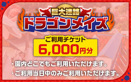 チケット 「心の駅　陽だまりの丘」 巨大迷路 ドラゴンメイズチケット 6000円分  [AIAZ002] 