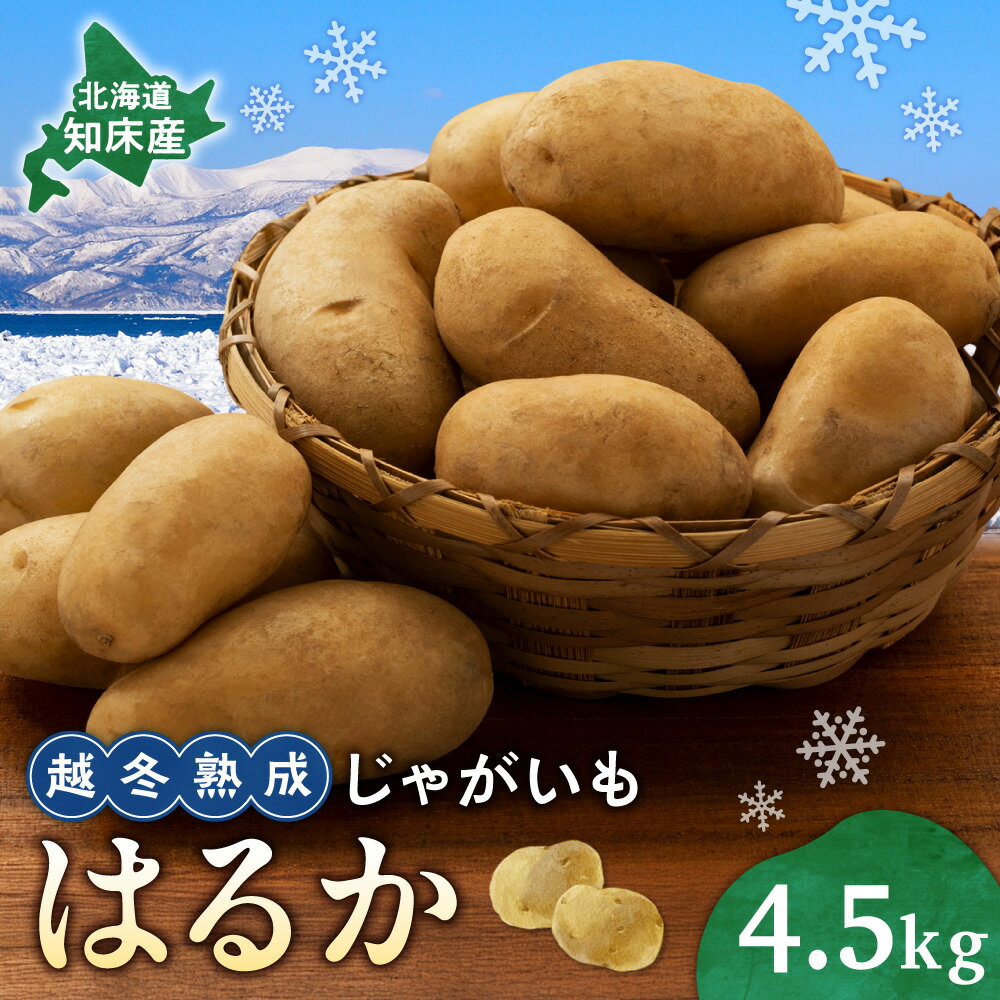 【ふるさと納税】北海道しれとこ越冬熟成じゃがいも はるか 4.5kg　【配送不可地域：離島・沖縄県】