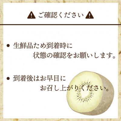 ふるさと納税 春日市 【2025年11月上旬〜11月下旬発送予定】博多甘うぃ(キウイフルーツ) 約3.6kg(春日市) |  | 03
