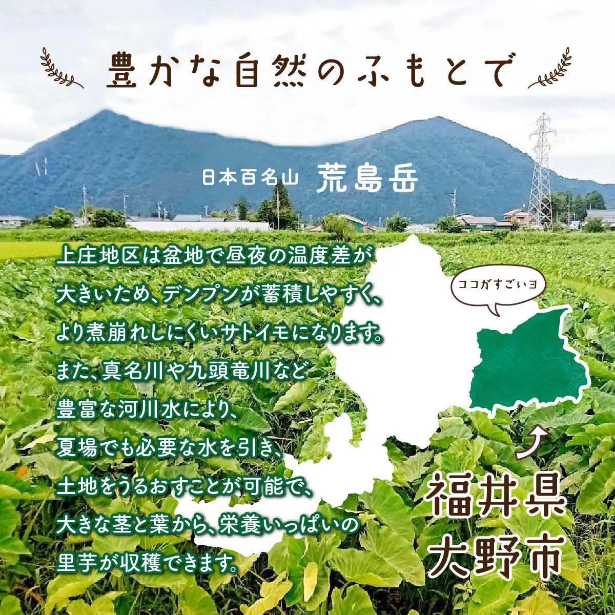 【先行予約】【2月発送分】上庄産さといもの「洗い子」計2.01kg  有機肥料配合　減農薬栽培[A-005006_04]