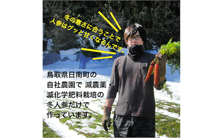 星降る里 鳥取県日南町のにんじんジュースとジンジャーシロップ 詰合せ セット