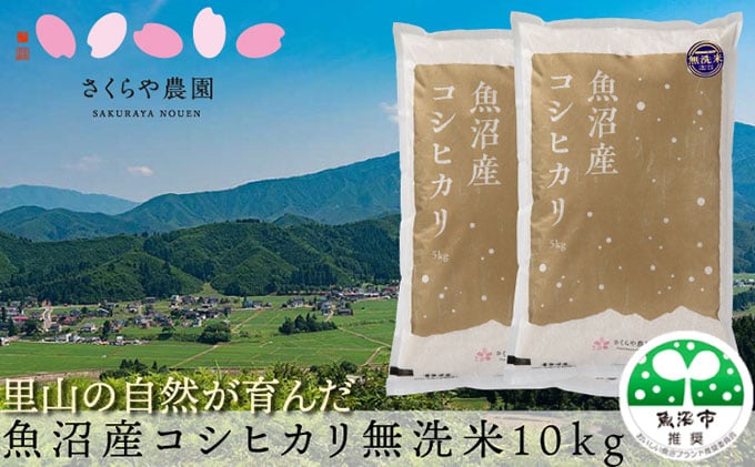 
[№5762-1164]【令和6年産　新米先行受付】【令和6年産】さくらや農園 魚沼産コシヒカリ 無洗米10kg（5kg×2袋） 米 こめ お米 コメ こしひかり 無洗米 新潟県 魚沼市 魚沼
