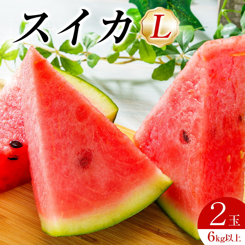 【ふるさと納税】242.【先行予約】スイカL 2玉 6kg以上2玉 ※6月上旬～8月中旬頃に順次発送予定（こちらの返礼品は、大栄西瓜ではありません） | 西瓜 スイカ 果物 フルーツ くだもの 鳥取県 北栄町 おすすめ 人気 送料無料