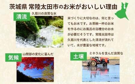 【令和7年産 新米 】いせひかり 精米 5kg 新米