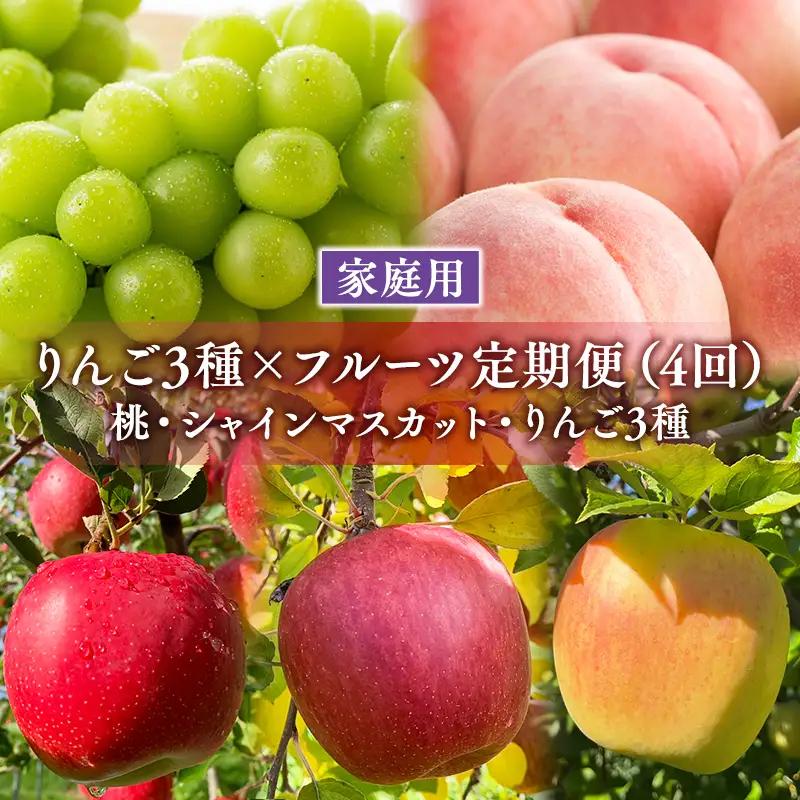 家庭用フルーツ定期便　4回(桃・シャインマスカット・りんご3種) りんご