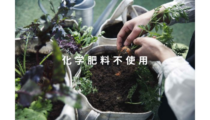 完全有機肥料オイジオ 500g×2袋  肥料 oiTHEO オーガニック 完熟発酵 土 土を蘇らせる 栽培 作物 肥料 微生物 追肥 化学肥料不使用  株式会社クレイ _イメージ2