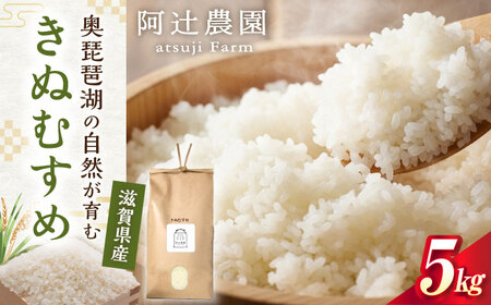 【令和7年産新米】きぬむすめ5kg 阿辻農園 [AQAW015] 米 白米