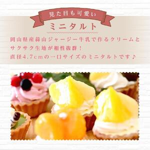 定期便 5ヶ月 フレッシュ タルト 専門店 STYLE 岡山みに たると 厳選 5種 20個入 お菓子 ケーキ タルト スイーツ 合せ