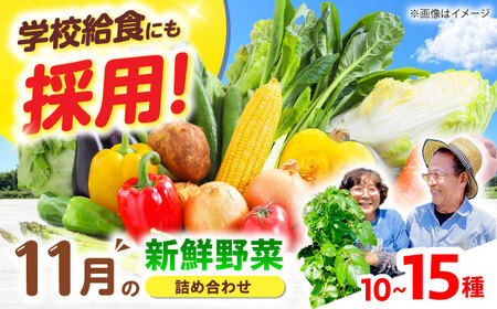 高槻野菜おまかせ詰め合わせセット 11月（10種〜15種）[AOCS017] 野菜セット
