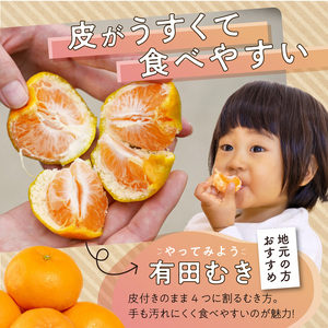 ZE6423_有田みかん 約5kg【家庭用】(S～Lサイズ)【まごころ手選別】