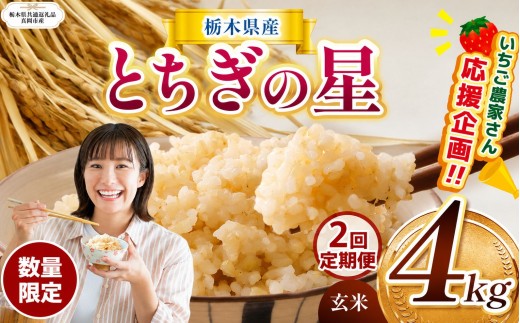 【定期2回】 訳あり 数量 限定 令和8年度産 とちぎの星 約 4kg| とちぎの星 ミルキークイーン 米 okome kome お米 ご飯  玄米 白米 ごはん おいしい  ふるさと納税 栃木県 那珂川町 送料無料【栃木県共通返礼品】
