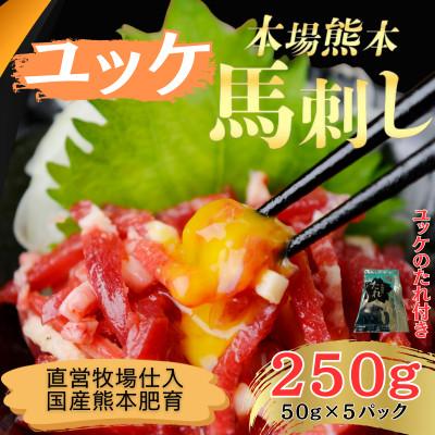 ふるさと納税 和水町 本場熊本の鮮馬刺し 国産馬肉 熊本肥育 馬刺 ユッケ たれ付 小分け 5パック 250g(和水町)
