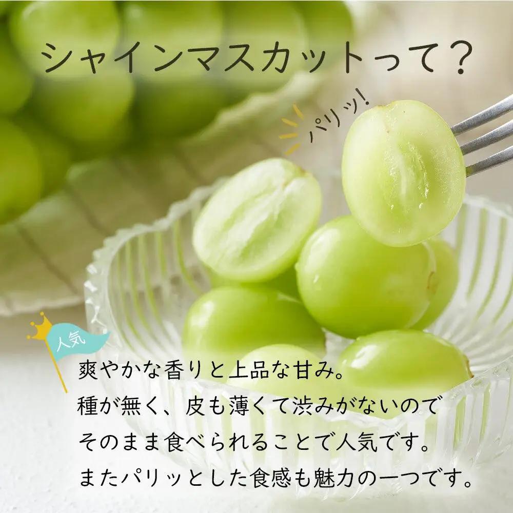岡山県産 ぶどう  2026年発送 ご家庭用 シャインマスカット 晴王 約400g×1房 フルーツ 果物 | シャインマスカット