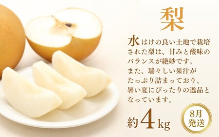 フルーツ 定期便 全3回 （桃・梨・ピオーネ ）/ 和歌山 旬 くだもの 甘い ぶどう もも なし ※北海道・沖縄・離島は配送不可【tkb114】 