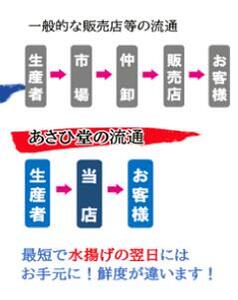 【令和7年発送先行予約】天然生うに100g 【2025年5月上旬～8月発送】［05］