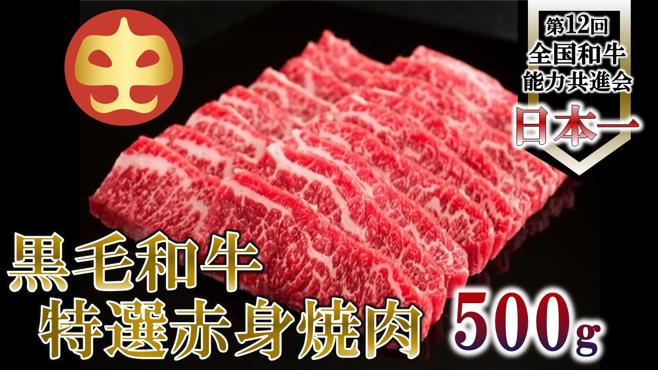 
                  【うしの中山】 赤身 焼肉 用500g
                
