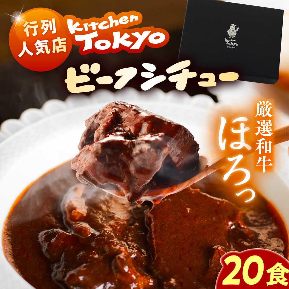 【ふるさと納税】丸小本店 老舗肉屋厳選　行列のできるキッチントーキョーのビーフシチュー　1人前（250g）×20個セット?/ 惣菜 常備食 簡単調理 レトルト食品 /?恵那市 / テンポイント[AUFN030]