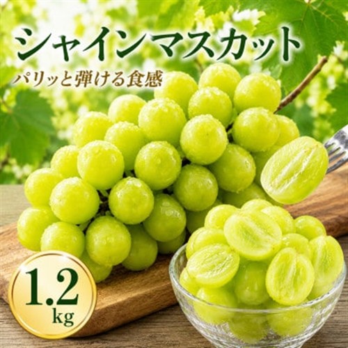 シャインマスカット　1.2kg(宇城市)【配送不可地域：離島】【1738559】