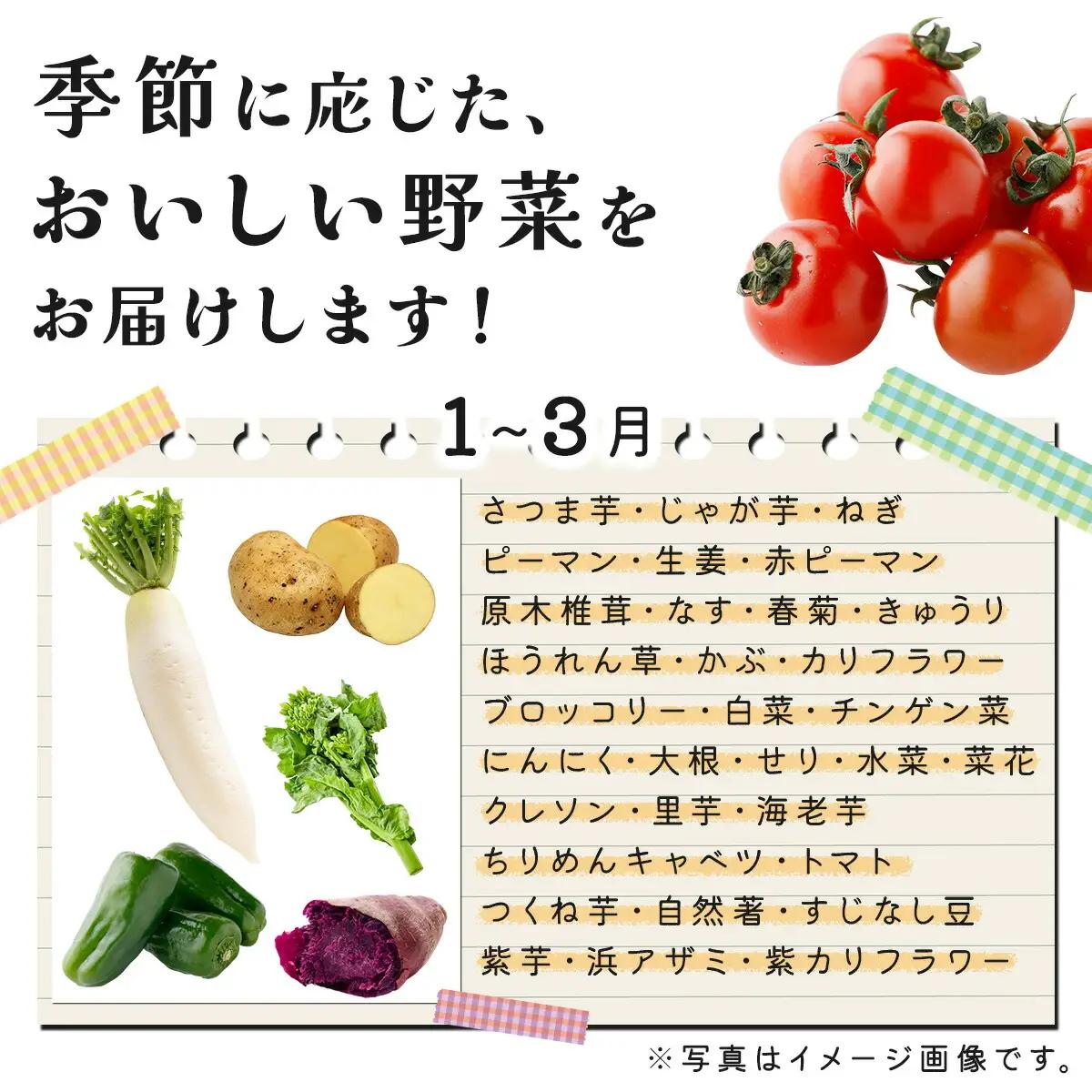 お味噌・野菜セット 野菜8種/みそ詰め合わせ