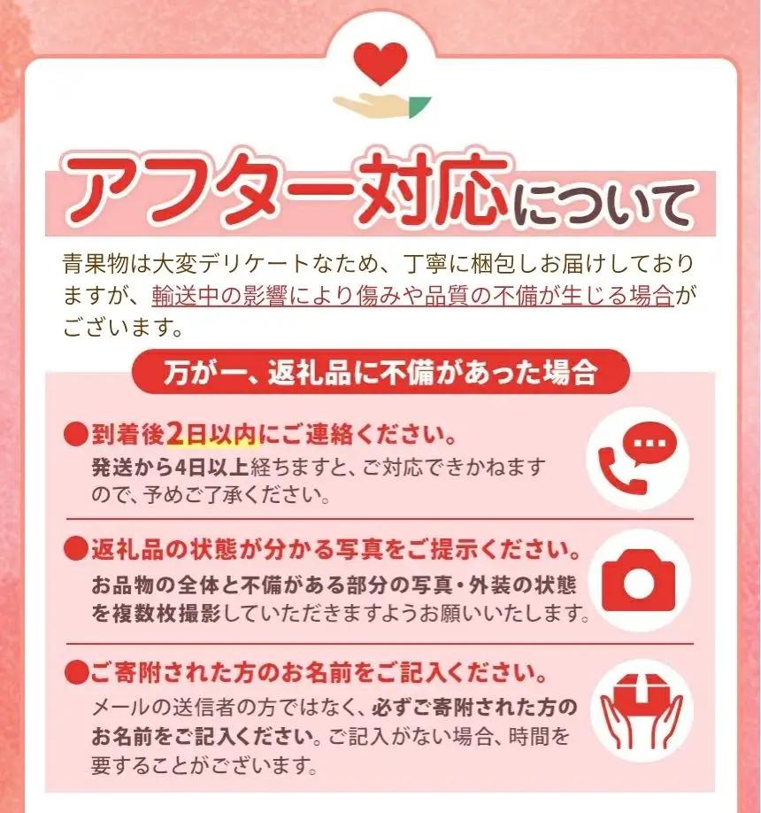 【2026年先行予約】 秋月 5㎏ 真岡市産 梨 なし