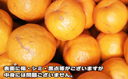 訳あり ポンカン みかん 約5.5kg ふるくとファーム 柑橘柑橘柑橘柑橘柑橘 B010-037006