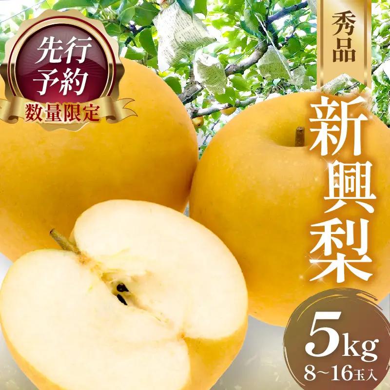 【先行予約／数量限定50】梨 新興梨 秀品 5kg（8～16玉入り）｜2026年10月下旬から順次発送
