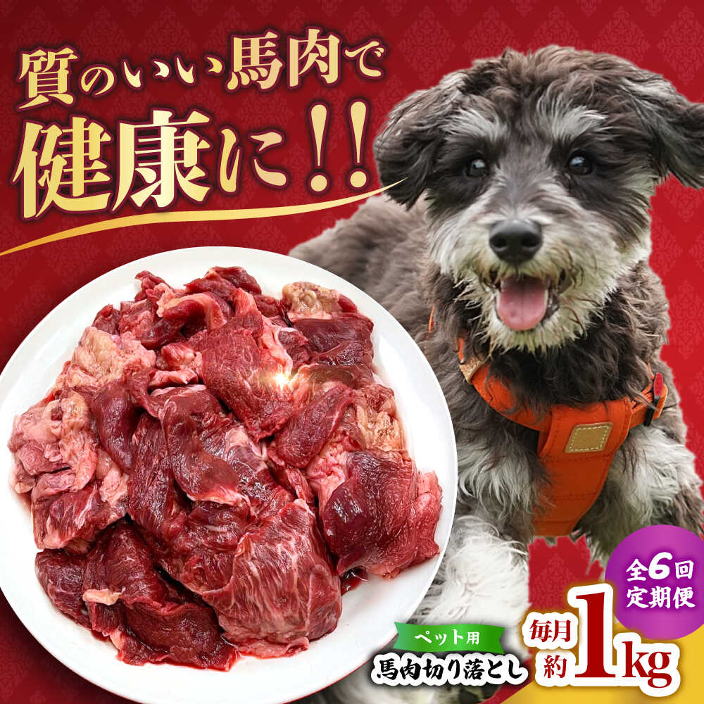 【ふるさと納税】【全6回定期便】国内加工 ペット用 馬肉 切り落とし 1kg 【合同会社　長岡フーズ】[ZFR055]