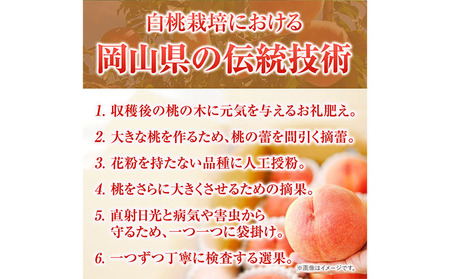 贈答用 桃 内容量 2.4kg ハレノフルーツ （犬塚農園） 《6月末-8月中旬頃出荷》岡山県 浅口市 フルーツ モモ 果物 青果 旬 おかやま夢白桃 白麗 白鳳 清水白桃 なつごころ 加納岩白桃【配