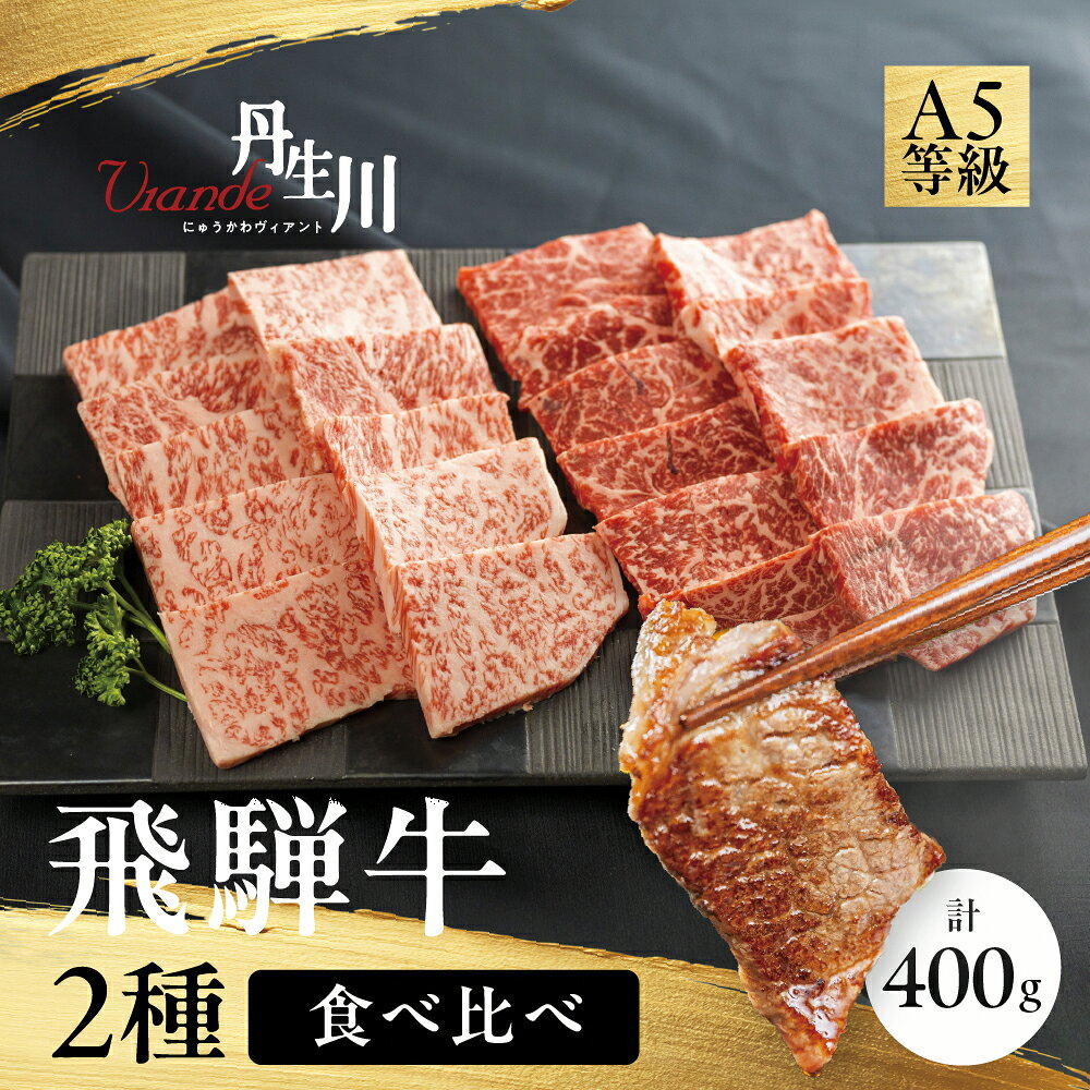 【ふるさと納税】2種食べ比べ！飛騨牛A5等級サーロイン焼肉 200gもも赤身焼肉200g飛騨牛 ブランド牛 肩もも 食べ比べ すき焼き 牛肉 贅沢 飛騨高山 丹生川精肉 JJ018