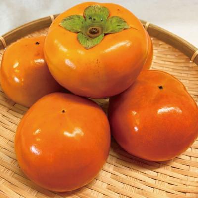 ふるさと納税 北山村 和歌山秋の味覚 富有柿 約2kg 化粧箱入【uot739】 |  | 01