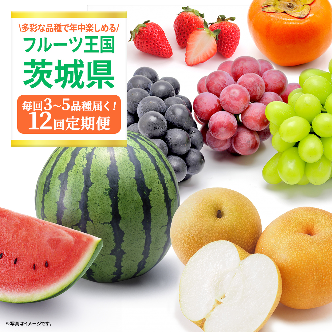 【定期便】フルーツセット（12回定期）（茨城県共通返礼品