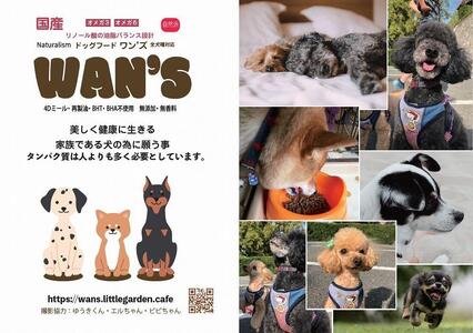 神戸生まれの 新鮮な無添加 ドライドッグフード 『WANS』2.3KG 2個セット