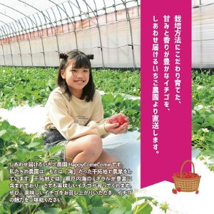 いちご4品種スペシャルセット　いちご