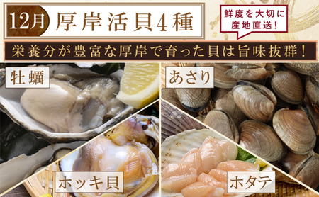 海鮮 定期便 4回 お届け 厚岸旬のふるさとセット 毛ガニ しまえび さんま 牡蠣