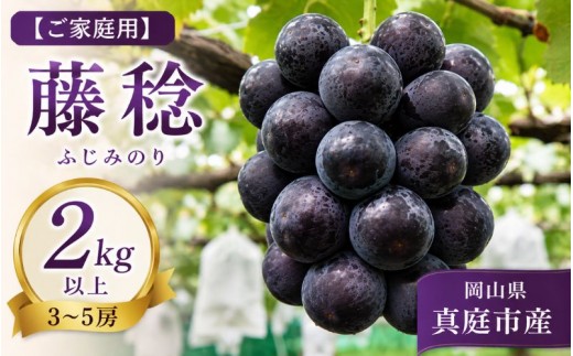 【2026年先行予約】＜ご家庭用＞岡山県産 藤稔 ２kg以上 (3~5房)【fsfm001-02】