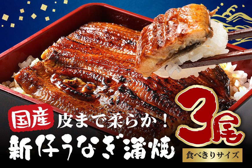 
            国内産 やわらか新仔うなぎ蒲焼 3尾 計300～330g (100～110g×3尾) 食べ切りサイズ ふっくら蒲焼き ブランド鰻使用 秘伝のタレ・山椒付き 湯煎で簡単調理 うな丼 ちらし寿司 贈答用 ギフト 冷蔵配送 茨城県 潮来市 (A23-009)
          
