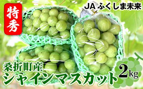 
No.172 ぶどう（シャインマスカット）特秀2kg　桑折町産　JAふくしま未来　葡萄 ／ 果物 フルーツ ブドウ 福島県 特産品
