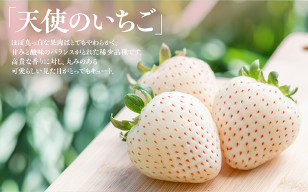 お祝いに贈り物に『幸せの紅白いちご』（赤・白シート入り各約300g　計約600g）