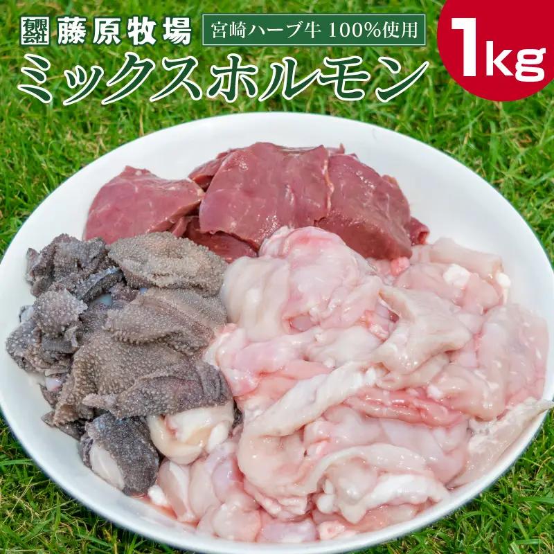 小分けで便利＜宮崎ハーブ牛＞ ミックスホルモン 計1kg（200g×5パック） 小腸 ミノ ギアラ センマイ ハツ シマ腸 【C201】