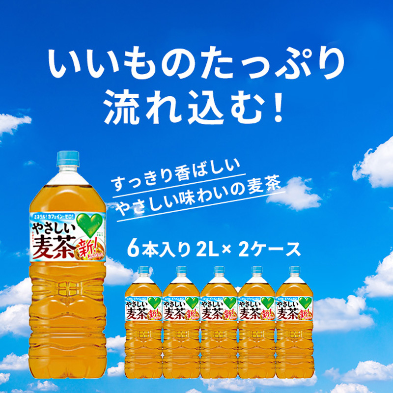 麦茶 GREEN DA・KA・RA やさしい麦茶 2L×6本 2箱 ペットボトル