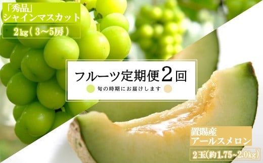 【2025年8月～10月発送分先行受付】【定期便2回】山形旬の果物2選（メロン/シャインマスカット）_H182(R7)