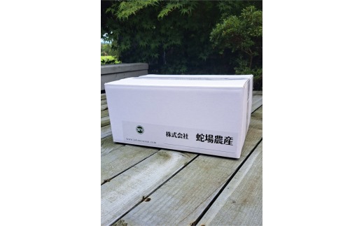 五泉産 里芋 3kg ※M～Lサイズ混合 新潟県 五泉市 株式会社蛇場農産