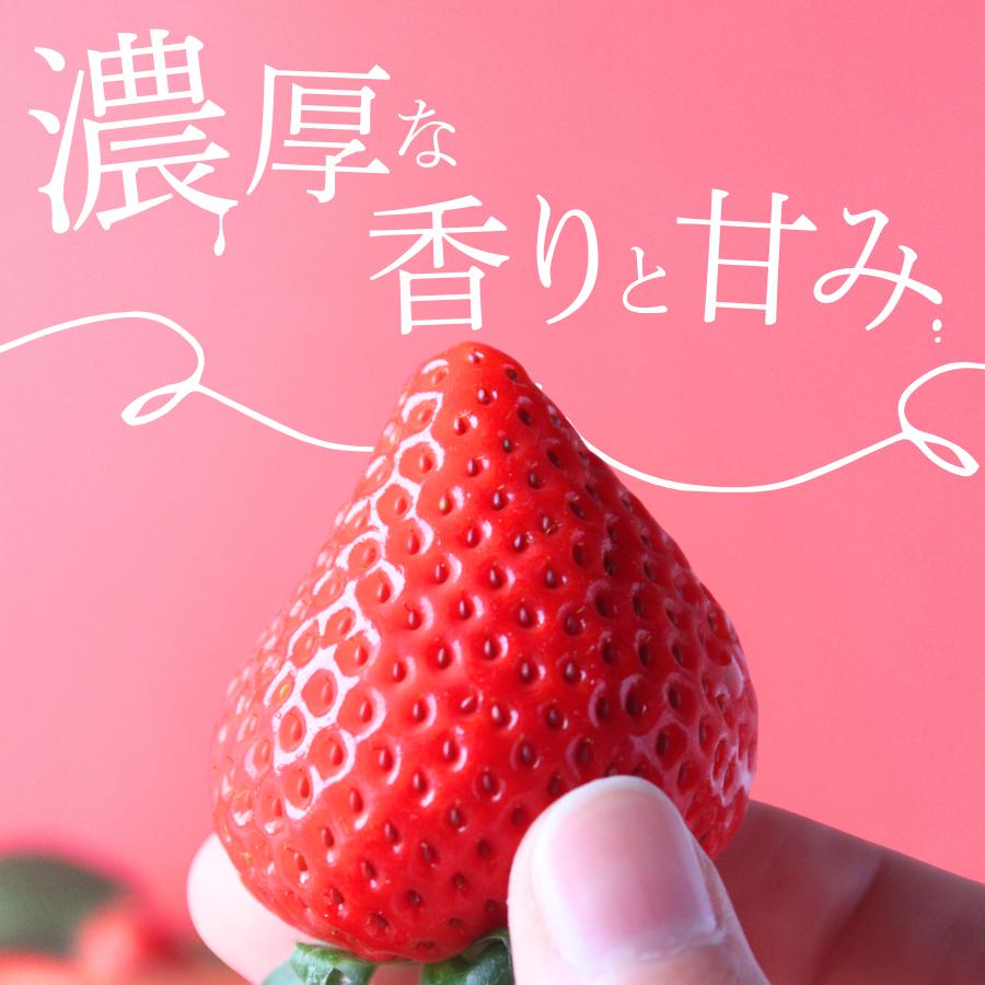 【先行予約＿2026年出荷分】完熟いちご280g 4パック（DXパック）恋みのり、かおり野から厳選　【 苺 いちご イチゴ 恋みのり かおり野 産地直送 旬 果物 フルーツ くだもの 静岡県 伊豆 南