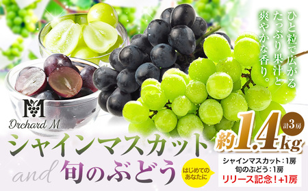 〈プラスワン企画実施中〉 シャインマスカット 1房・旬のぶどう 1房 ＋ お試しぶどう 1房 計 1.4kg Orchard M《8月中旬-10月上旬頃出荷》熊本県 長洲町 果物 フルーツ スイーツ デザート