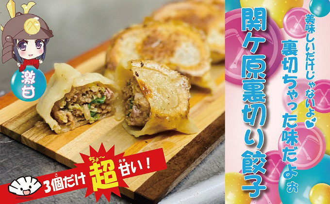 
                  ＜関ケ原産ふわりもち使用＞関ケ原裏切り餃子(激甘)＜白餃子50個のうち、激甘3個入り＞【1440705】
                