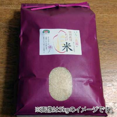 ふるさと納税 日進市 特別栽培れんげ米　日進市産　あいちのかおり　3kg　[精米] |  | 01