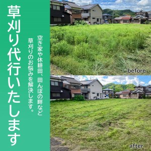 草刈り代行作業（1平方メートル～50平方メートル） CR01